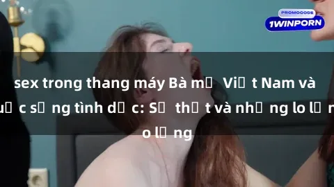 sex trong thang máy Bà mẹ Việt Nam và cuộc sống tình dục: Sự thật và những lo lắng